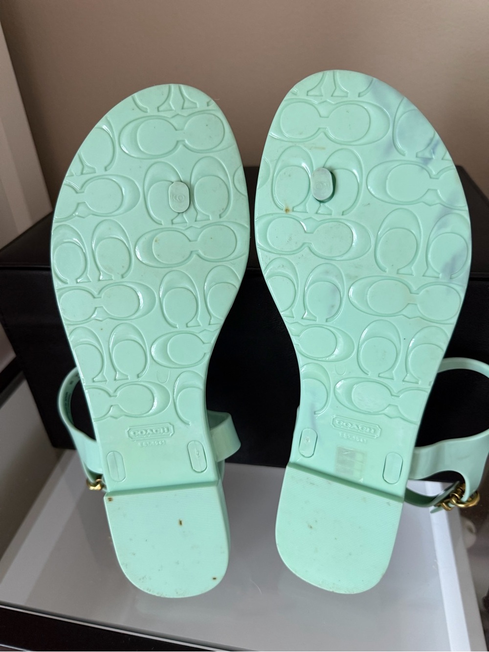 COACH Phila Mint Green Jelly Thong Sandals with Gold Turnlock Accents - Size 9B - Picture 10 of 13